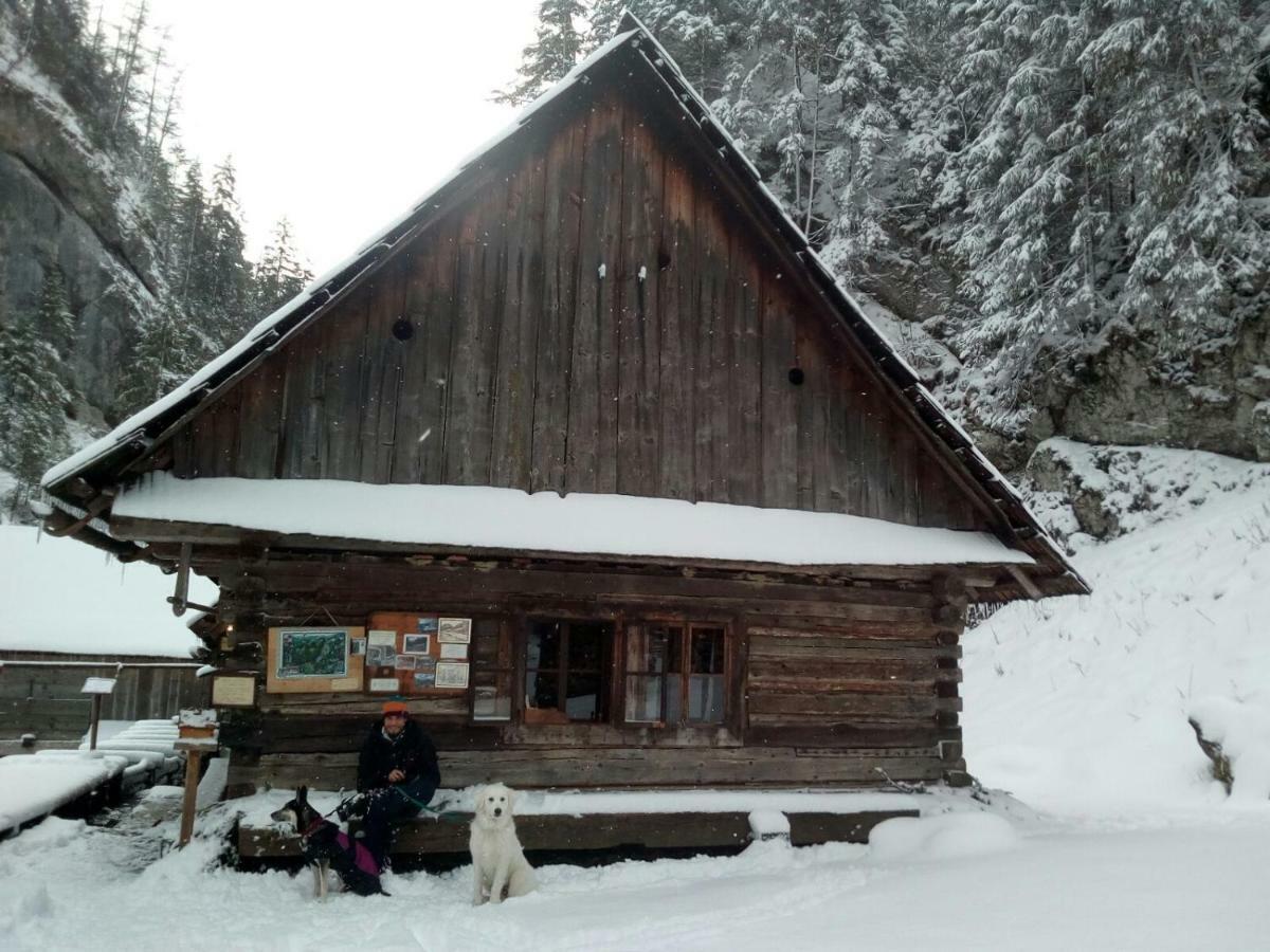 Ubytovanie v súkromí Grobarčík Zuberec Exterior foto